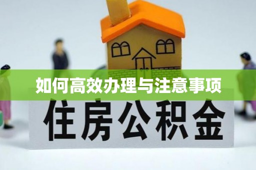 延寿如何高效办理与注意事项