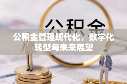 延寿公积金管理现代化，数字化转型与未来展望