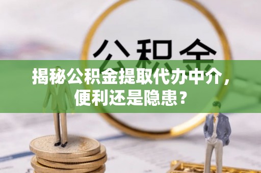 延寿揭秘公积金提取代办中介，便利还是隐患？