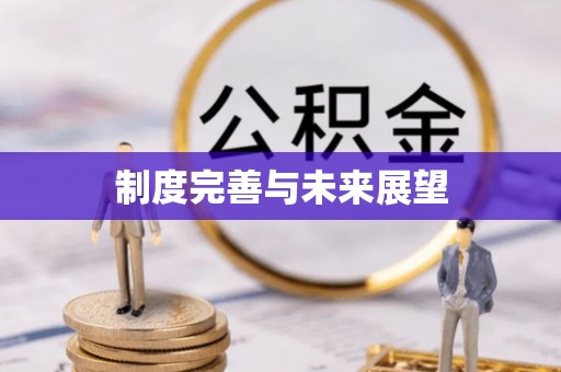延寿制度完善与未来展望