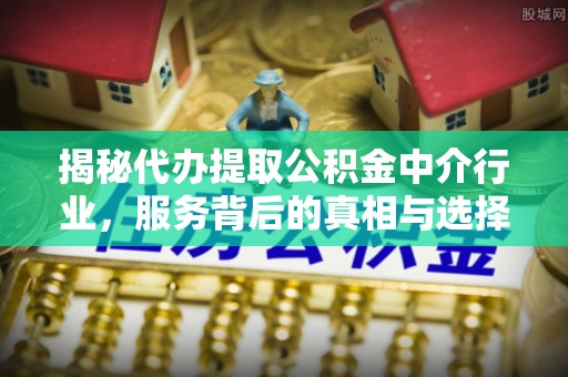 延寿揭秘代办提取公积金中介行业，服务背后的真相与选择指南