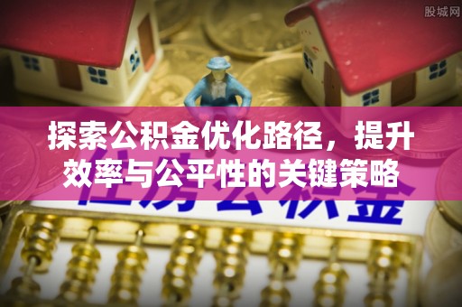 延寿探索公积金优化路径，提升效率与公平性的关键策略