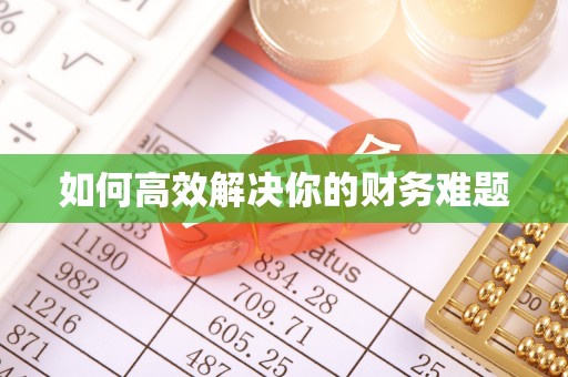 延寿如何高效解决你的财务难题