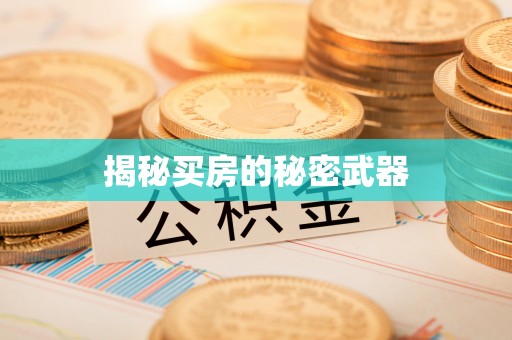 延寿揭秘买房的秘密武器