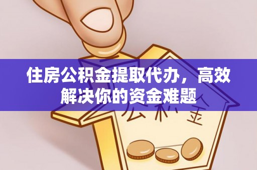 延寿住房公积金提取代办，高效解决你的资金难题