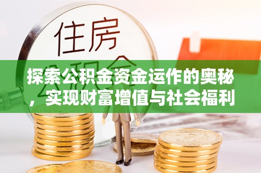 延寿探索公积金资金运作的奥秘，实现财富增值与社会福利双赢