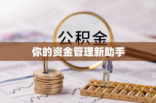 延寿你的资金管理新助手