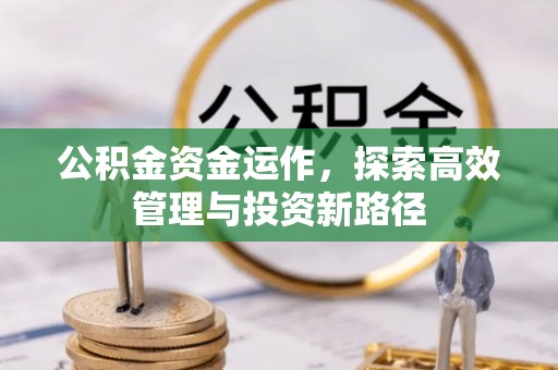 延寿公积金资金运作，探索高效管理与投资新路径