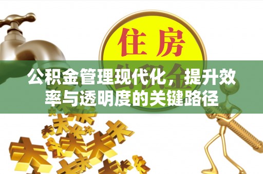 延寿公积金管理现代化，提升效率与透明度的关键路径