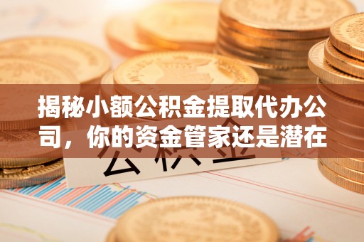 延寿揭秘小额公积金提取代办公司，你的资金管家还是潜在风险？
