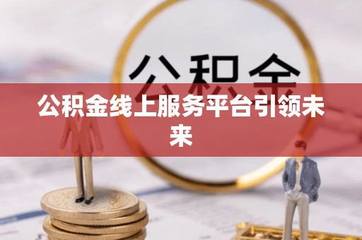 延寿公积金线上服务平台引领未来