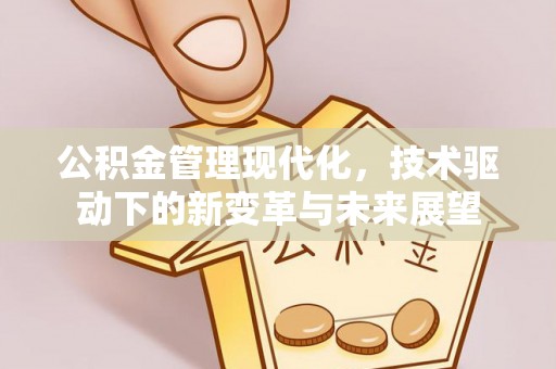 延寿公积金管理现代化，技术驱动下的新变革与未来展望
