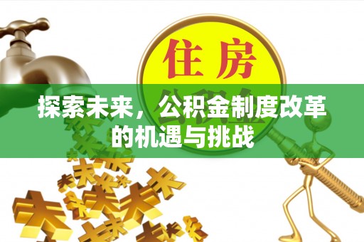 延寿探索未来，公积金制度改革的机遇与挑战