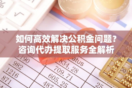 延寿如何高效解决公积金问题？咨询代办提取服务全解析