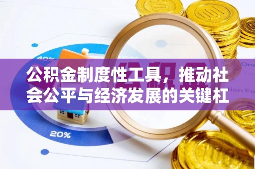 延寿公积金制度性工具，推动社会公平与经济发展的关键杠杆