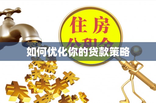 延寿如何优化你的贷款策略