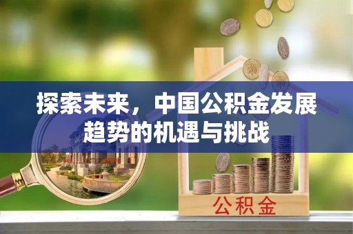 延寿探索未来，中国公积金发展趋势的机遇与挑战