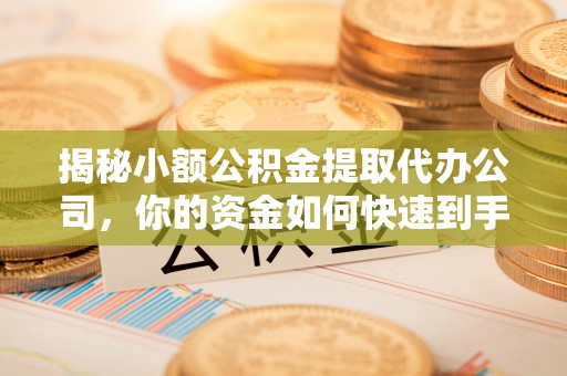 延寿揭秘小额公积金提取代办公司，你的资金如何快速到手？