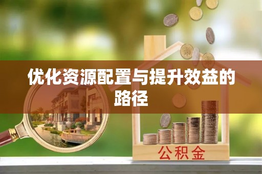 延寿优化资源配置与提升效益的路径