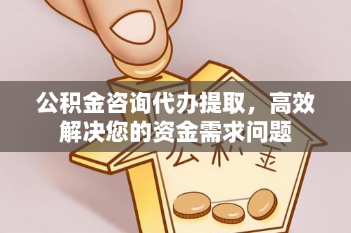 延寿公积金咨询代办提取，高效解决您的资金需求问题