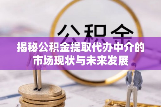 延寿揭秘公积金提取代办中介的市场现状与未来发展