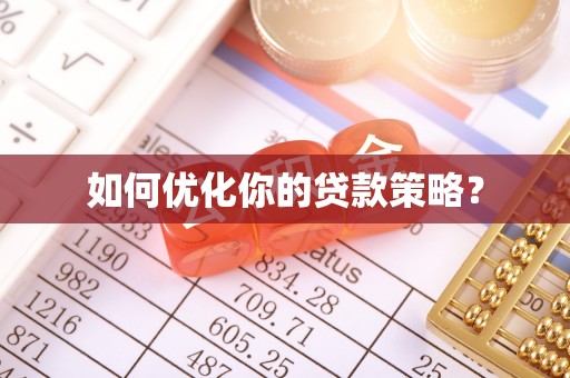 延寿如何优化你的贷款策略？
