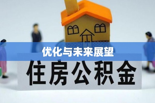 延寿优化与未来展望