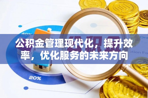 延寿公积金管理现代化，提升效率，优化服务的未来方向