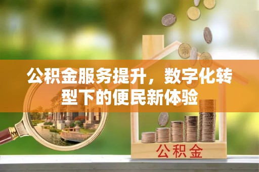 延寿公积金服务提升，数字化转型下的便民新体验