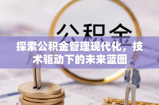 延寿探索公积金管理现代化，技术驱动下的未来蓝图