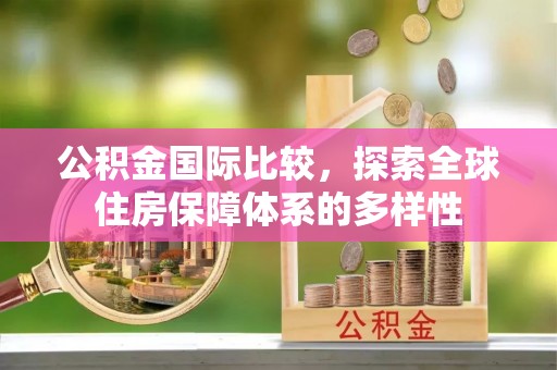 延寿公积金国际比较，探索全球住房保障体系的多样性