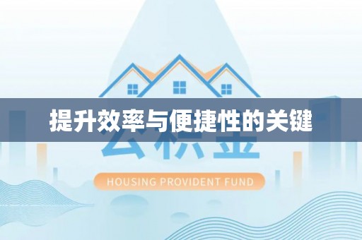 延寿提升效率与便捷性的关键