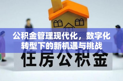 延寿公积金管理现代化，数字化转型下的新机遇与挑战
