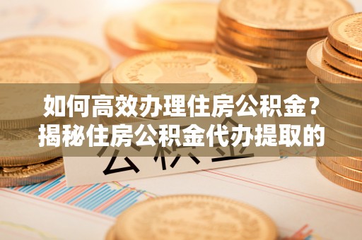 延寿如何高效办理住房公积金？揭秘住房公积金代办提取的全流程与优势