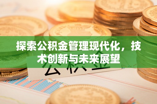 延寿探索公积金管理现代化，技术创新与未来展望