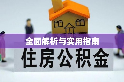 延寿全面解析与实用指南